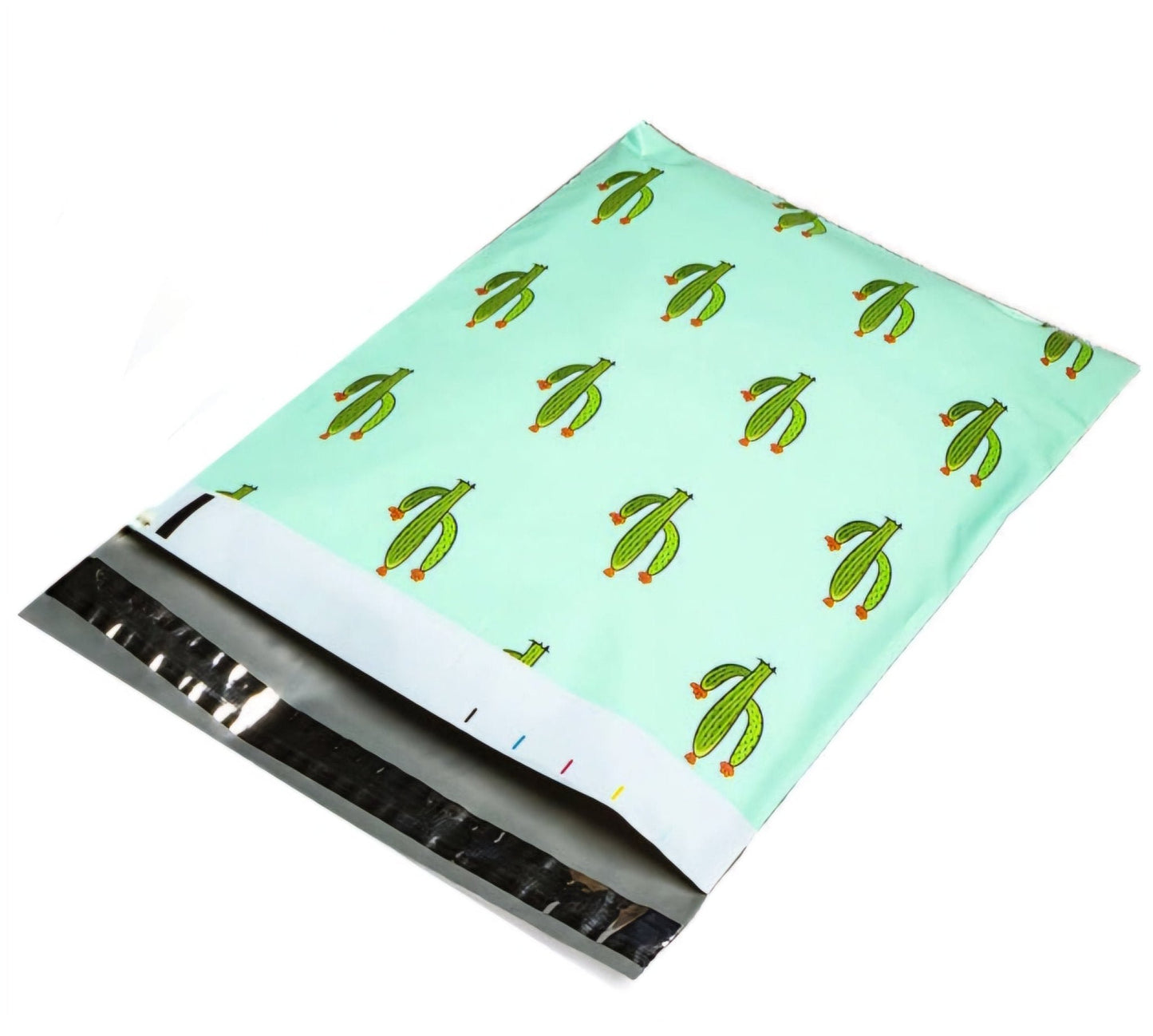 Cactus Mint Poly Mailers Size 10x13 Colorful Shipping Bags - Shipping In Style