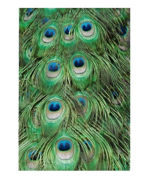Peacock Feathers Green Poly Mailers Size 6x9 Shipping Bags - Shipping In Style