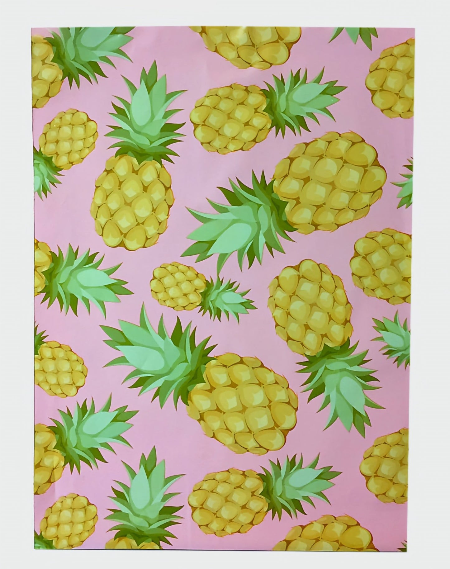 Pineapple Poly Mailers Size 6x9 Shipping Bags - Shipping In Style