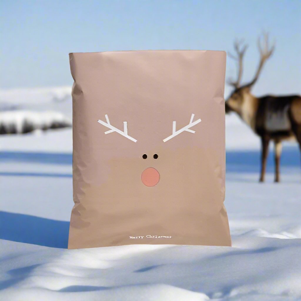 Rudolph Christmas Poly Mailers Size 10x13 Shipping Bags - Shipping In Style
