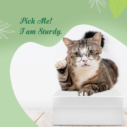 8x8x4 Inch Magnetic Gift Boxes | 50 Pack Wholesale