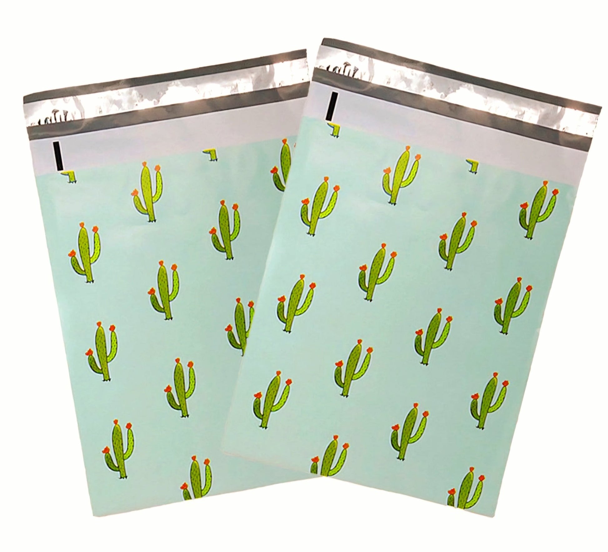 Cactus Mint Poly Mailers Size 10x13 Colorful Shipping Bags - Shipping In Style