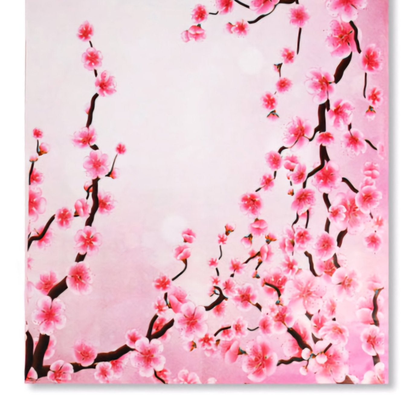 Cherry Blossom Pink Poly Mailers Size 10x13 Colorful Shipping Bags - Shipping In Style