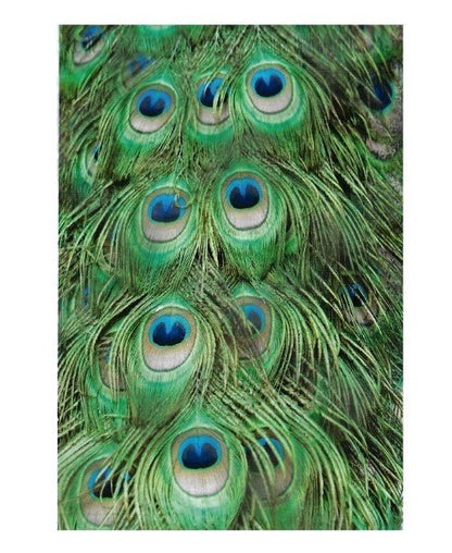 Peacock Feathers Green Poly Mailers Size 10x13 Shipping Bags - Shipping In Style