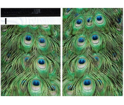 Peacock Feathers Green Poly Mailers Size 10x13 Shipping Bags - Shipping In Style