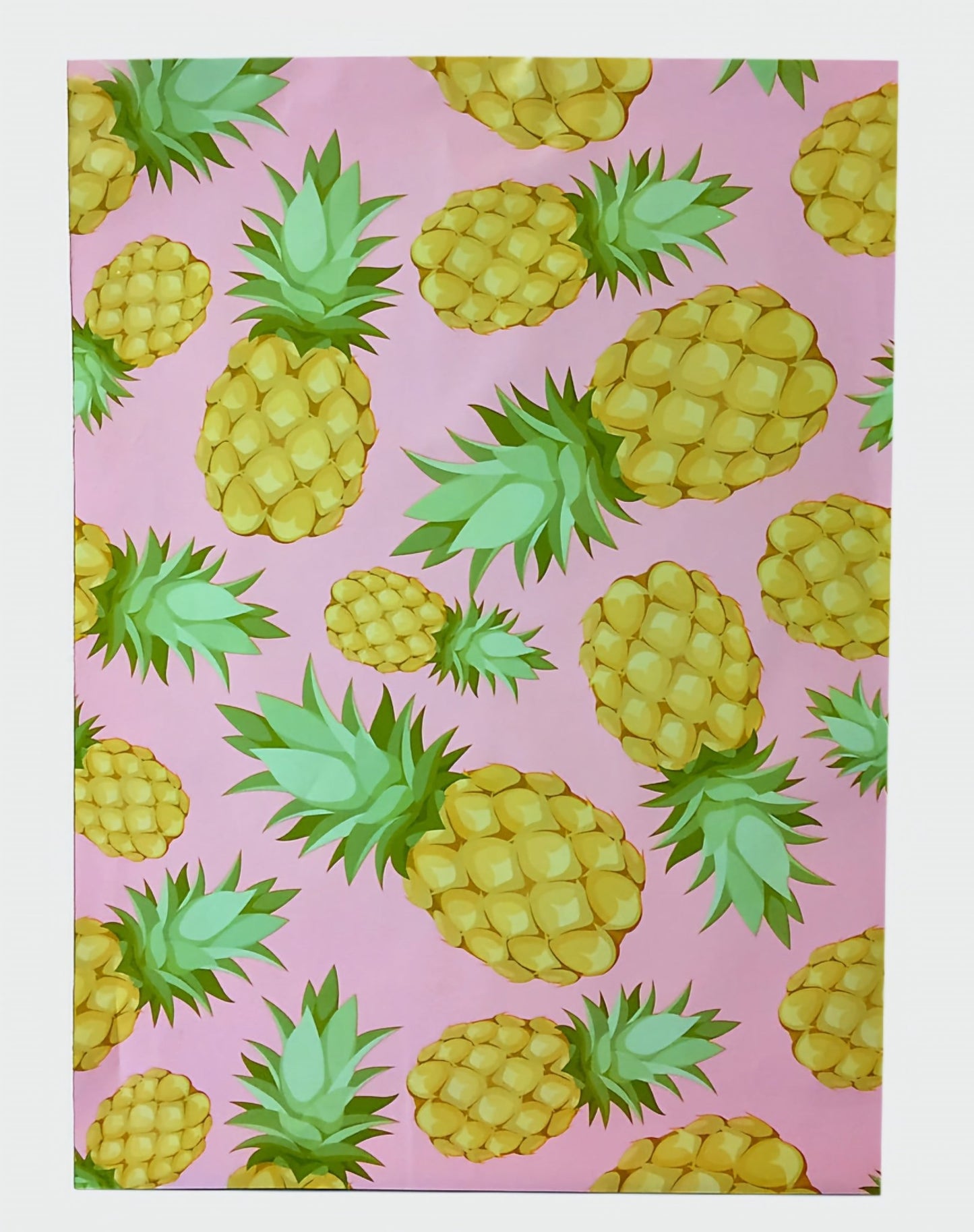 Pineapple Poly Mailers Size 10x13 Colorful Shipping Bags - Shipping In Style