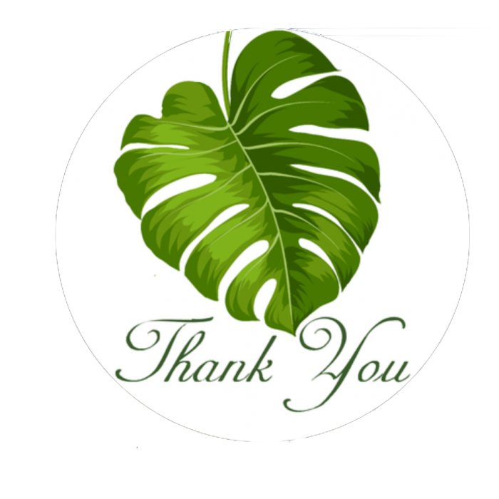 Plant Leaf Thank You Stickers 2.5 inch 300 Count Per Pack Shipping Supplies - Shipping In Style